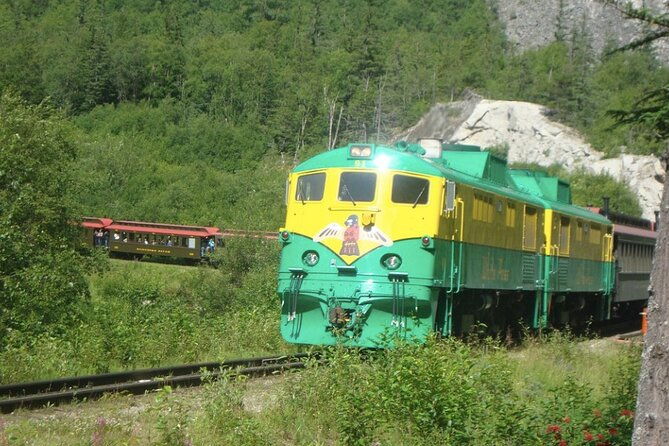 half-day-skagway-city-tour-and-white-pass-summit-adventure