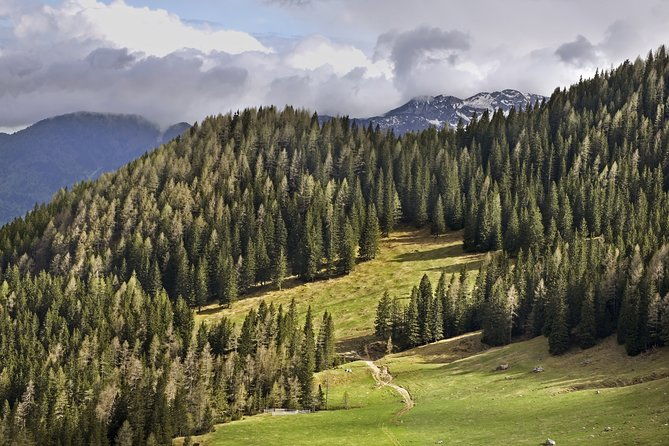 half-day-small-group-hiking-tour-of-visevnik