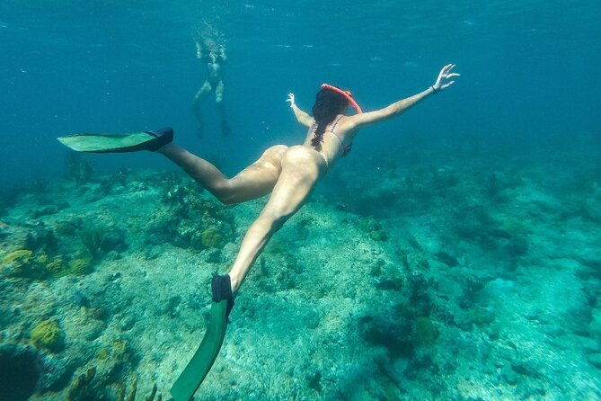 half-day-snorkel-from-providenciales-with-visit-to-half-moon-bay