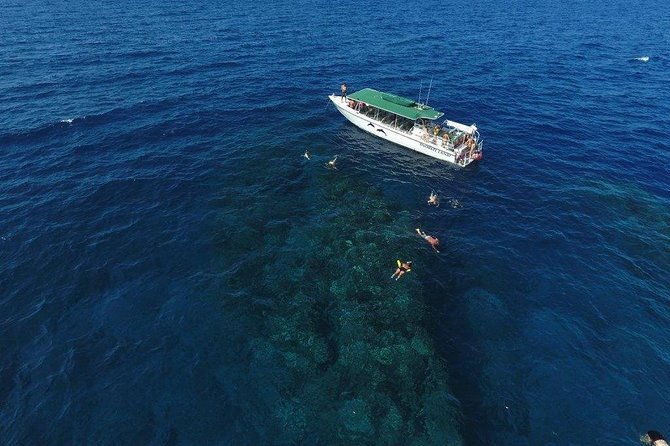 half-day-snorkel-to-lanai-from-kaanapali-beach-dolphin-search