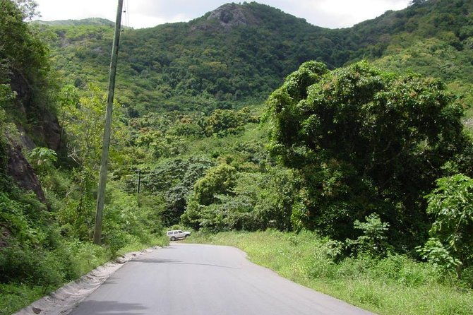 half-day-tour-island-safari-adventure-from-st-johns