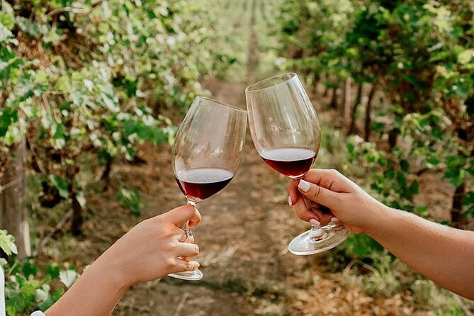 half-day-tour-of-wineries-and-olive-oil-with-lunch-from-mendoza