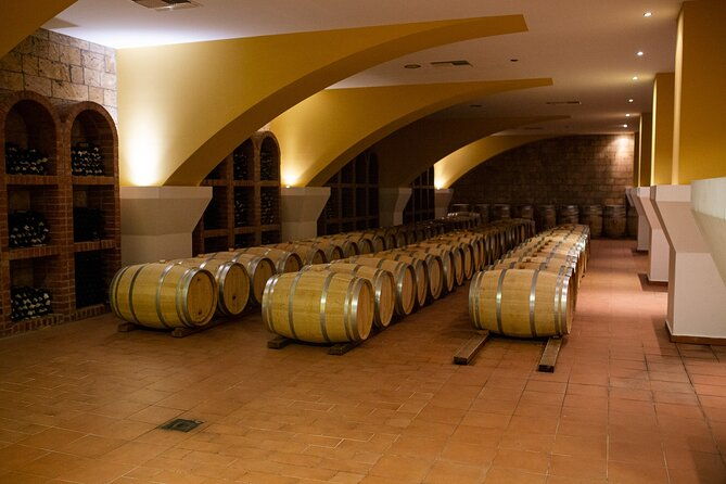 half-day-wine-tasting-with-dinner-in-kos