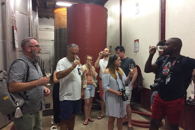 half-day-wine-tour-private-tour-from-carcassonne-and-around