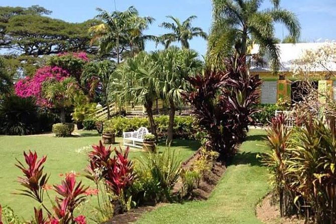 half-island-tour-of-st-kitts