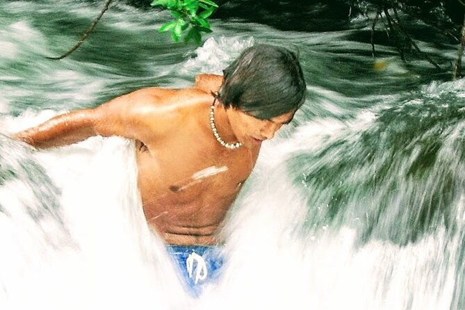 halfway-to-hana-private-tour-maui-blackbeach-waterfalls-turtles
