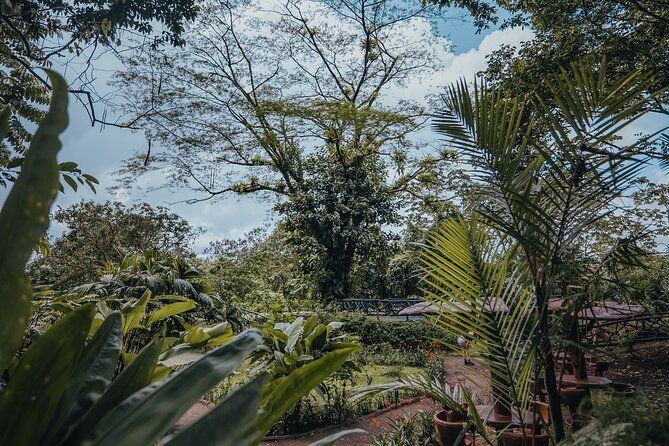 hanging-bridges-walk-in-arenal-volcano