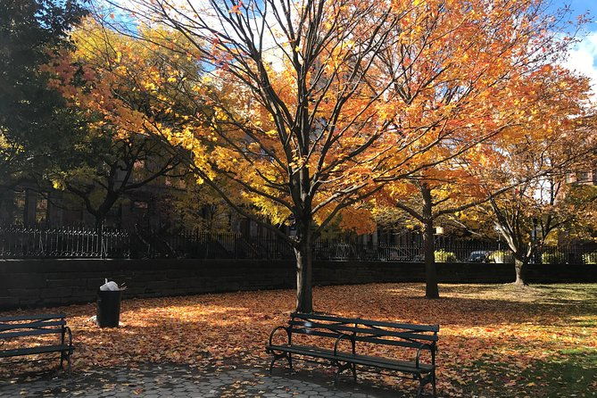 harlem-walking-tour-mount-morris-park-historic-district-w-lunch