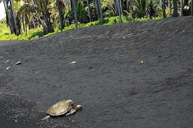 hawaii-volcanoes-national-park-experience-from-oahu-3