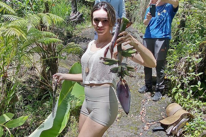 hawaiian-rainforest-banana-cultivation-experience