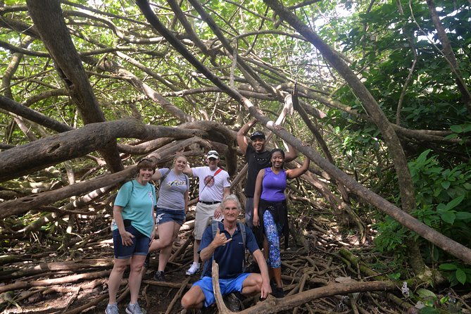 hawaiian-waterfall-hike