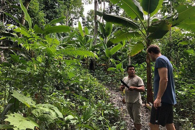 healing-treatment-with-medicinal-plants-7-days-green-wild-amazon-expedition