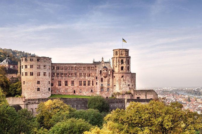 heidelberg-and-rhine-valley-day-trip-with-wine-tasting-and-dinner-from-frankfurt