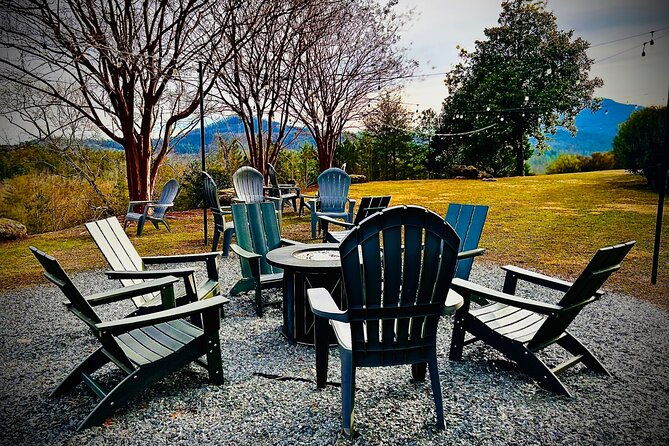helen-n-georgia-private-winery-tour-dine-and-shop-from-atlanta