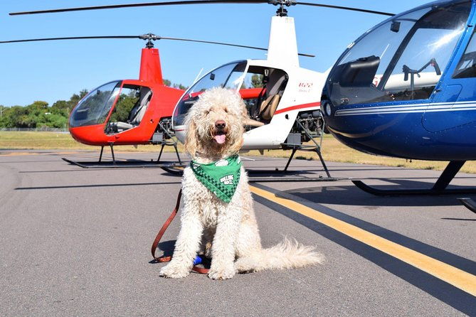 helicopter-tour-of-clearwater-beach-and-belleair-country-club