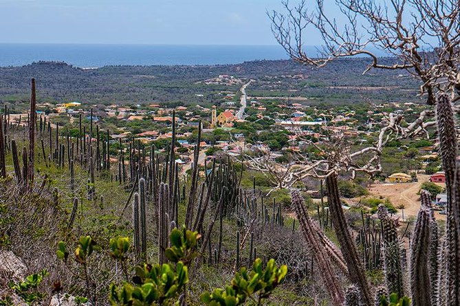 highlights-of-bonaire