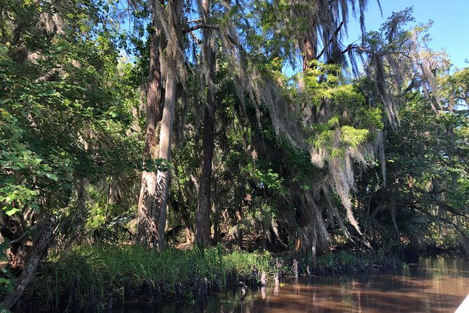 highlights-of-new-orleans-city-and-swamp-tour-combination