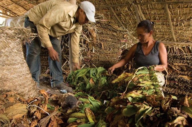 higuey-city-tour-a-cultural-experience-from-punta-cana