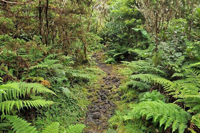 hike-3-hours-inland-terceira-island