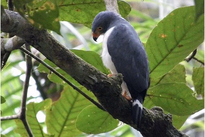 hike-in-the-gandoca-manzanillo-refuge