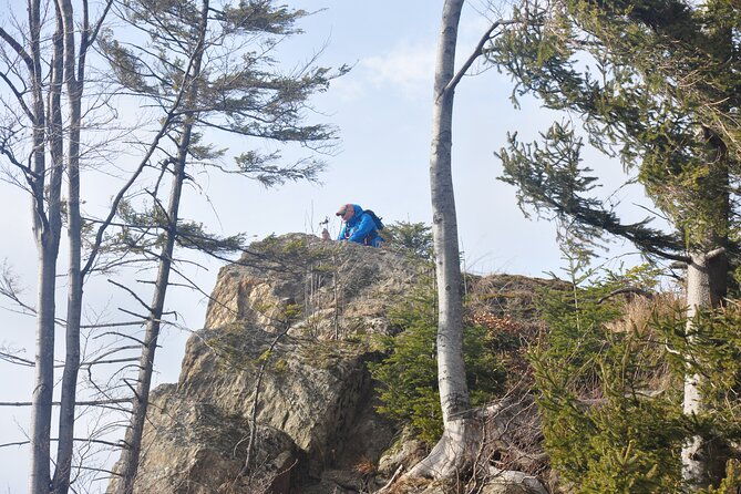 hike-in-the-wild-private-photo-tour