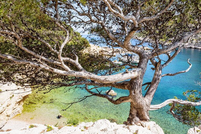 hike-to-the-blue-cave-marseille-with-swimming-and-snack