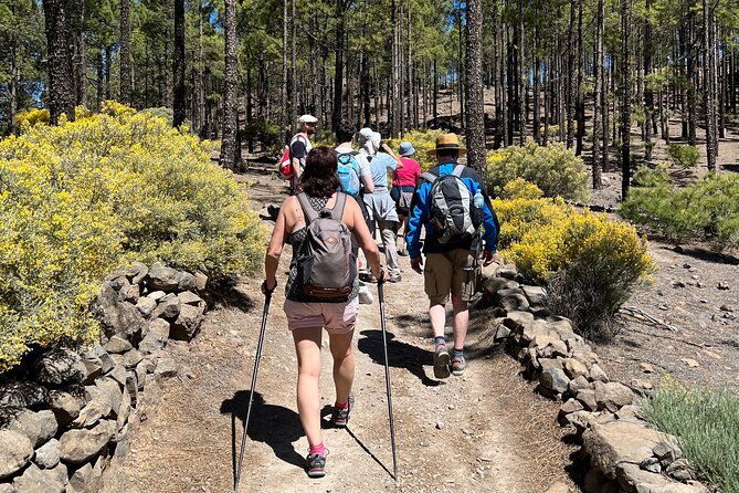 hikes-roque-nublo