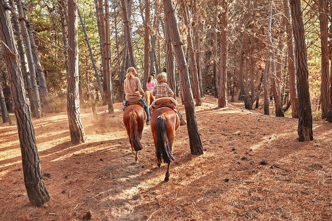 hiking-mauco-hill-horseride-ritoque-beachdunes-from-valparaiso