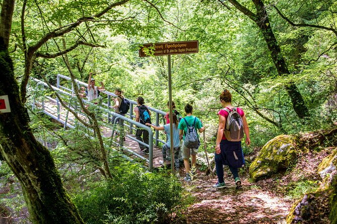hiking-menalon-lousios-gorge