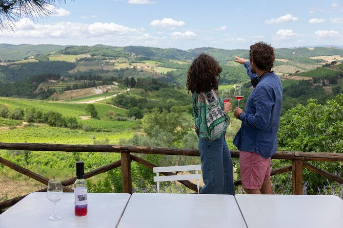 hiking-wine-tour-chianti-classico-3-organic-wineries-and-lunch
