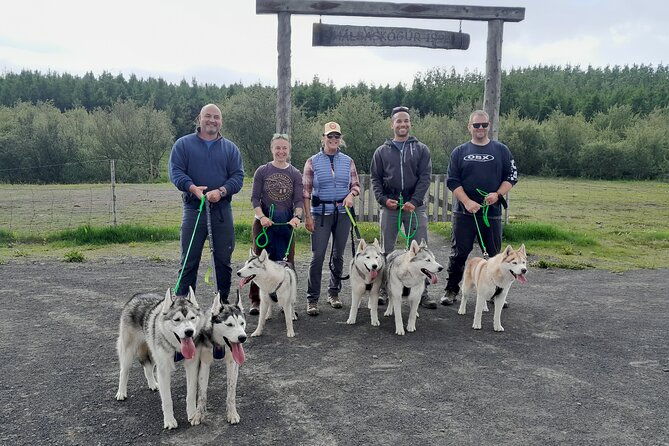 hiking-with-husky-in-akureyri