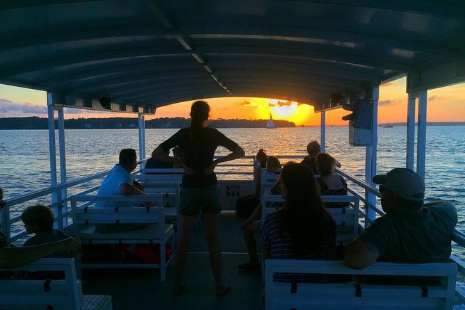 hilton-head-dolphin-watching-cruise-with-fireworks-display
