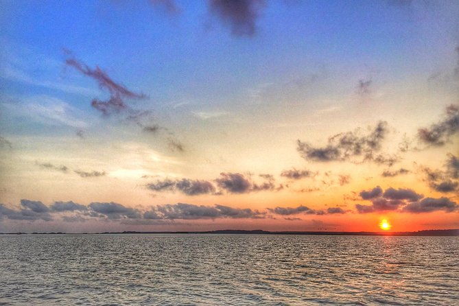 hilton-head-guided-sunset-creek-cat-tour