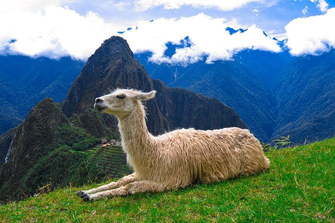 hire-a-fluent-english-speaking-and-professional-machu-picchu-guide