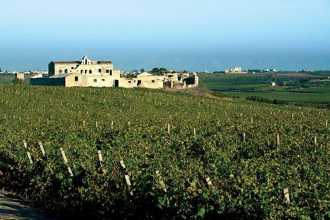 historic-winery-visit-with-food-and-wine-tasting-in-marsala