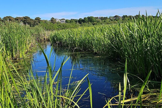historical-tour-of-nantucket