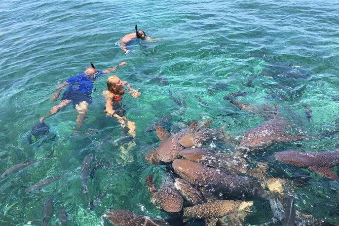 hol-chan-marine-park-and-shark-ray-alley-snorkeling