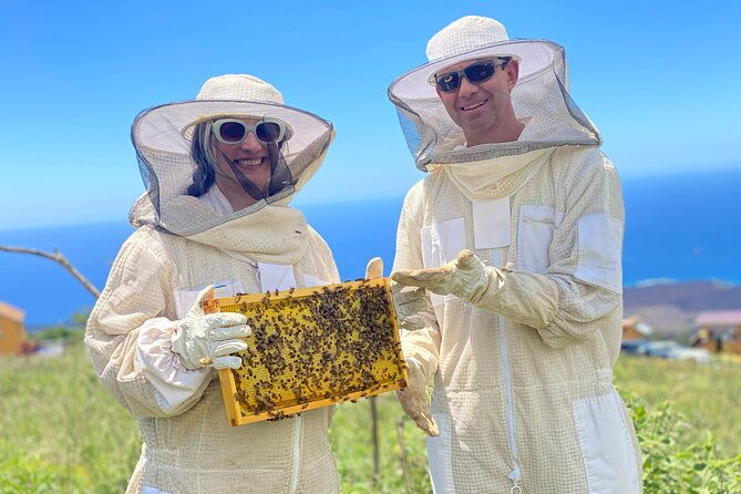 honey-bee-adventure-at-the-maui-honey-bee-sanctuary