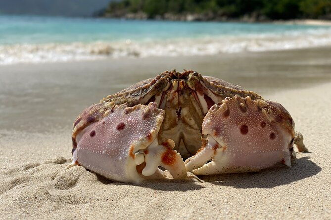 honeymoon-beach-eco-hike-and-snorkel