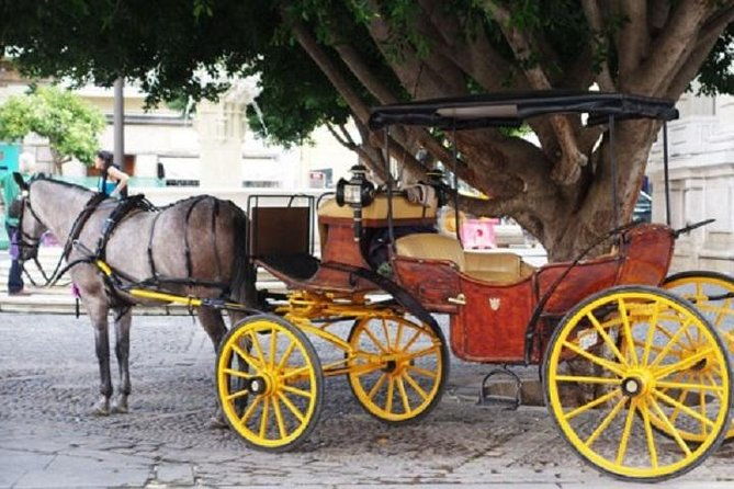 horse-drawn-carriage-ride-through-seville-2