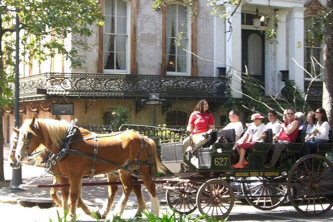 horse-drawn-daytime-group-narrated-historic-overview-tour-2