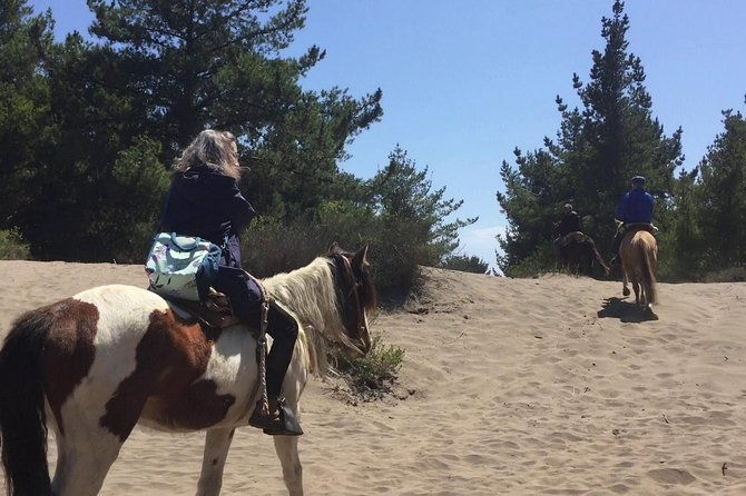 horse-ride-barbecue-on-ritoque-beachsand-dunes-from-valparaiso