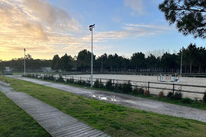 horse-riding-in-aveiro-ilhavo