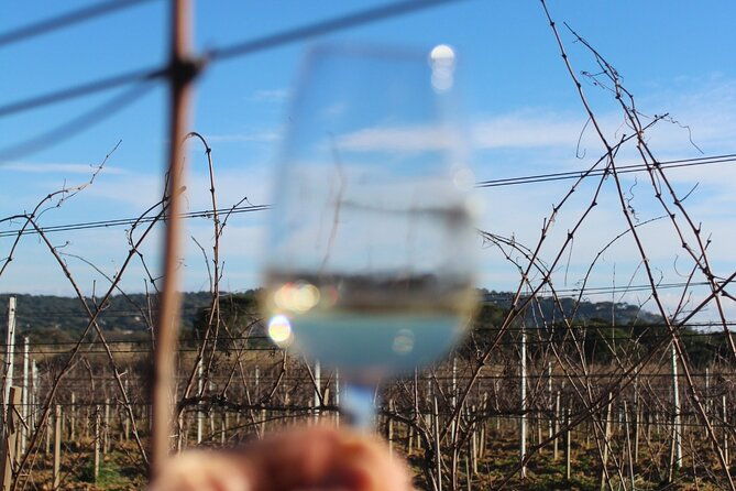 horse-riding-in-the-vineyards-of-grimaud-wine-tasting