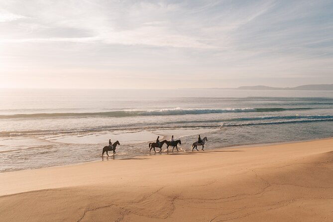 horse-riding-on-the-beach-with-private-transfer-from-lisbon