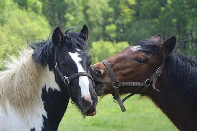 horse-riding-small-group-near-lucca