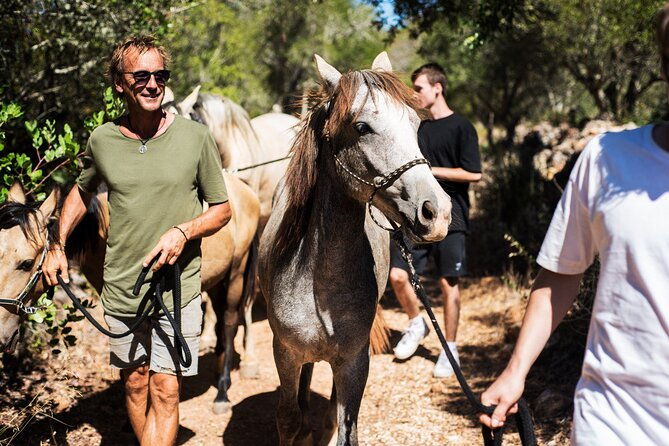 horse-sanctuary-a-nature-walk-with-rescued-horses-by-your-side