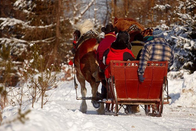 horse-sleigh-ride-in-the-polish-countryside-private-tour-from-krakow