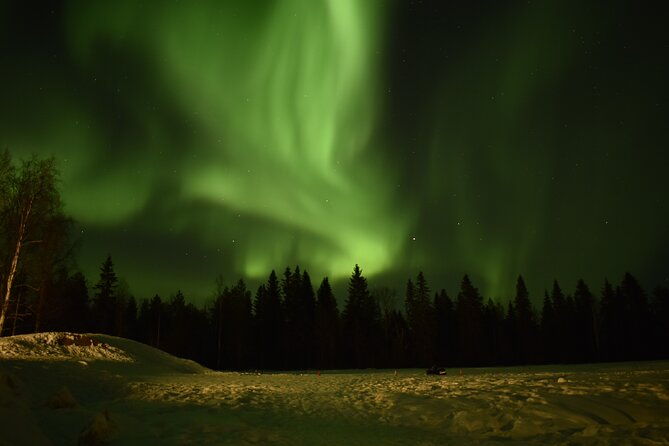 horse-sleigh-ride-under-the-night-sky-in-apukka-resort-rovaniemi