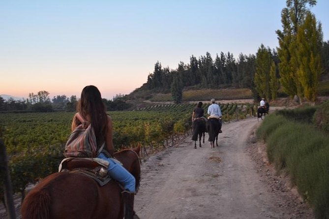 horseback-private-wine-tour-and-country-grill-from-santiago